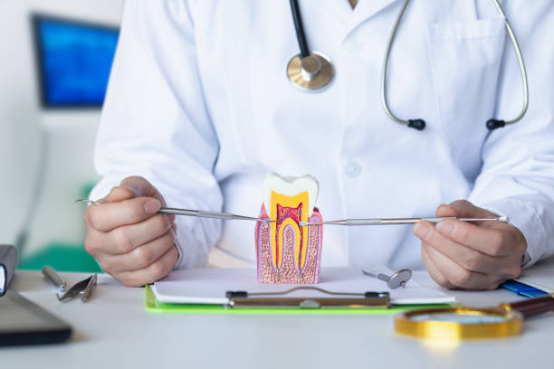 Best Emergency Orthodontic Repairs in Troy, NC